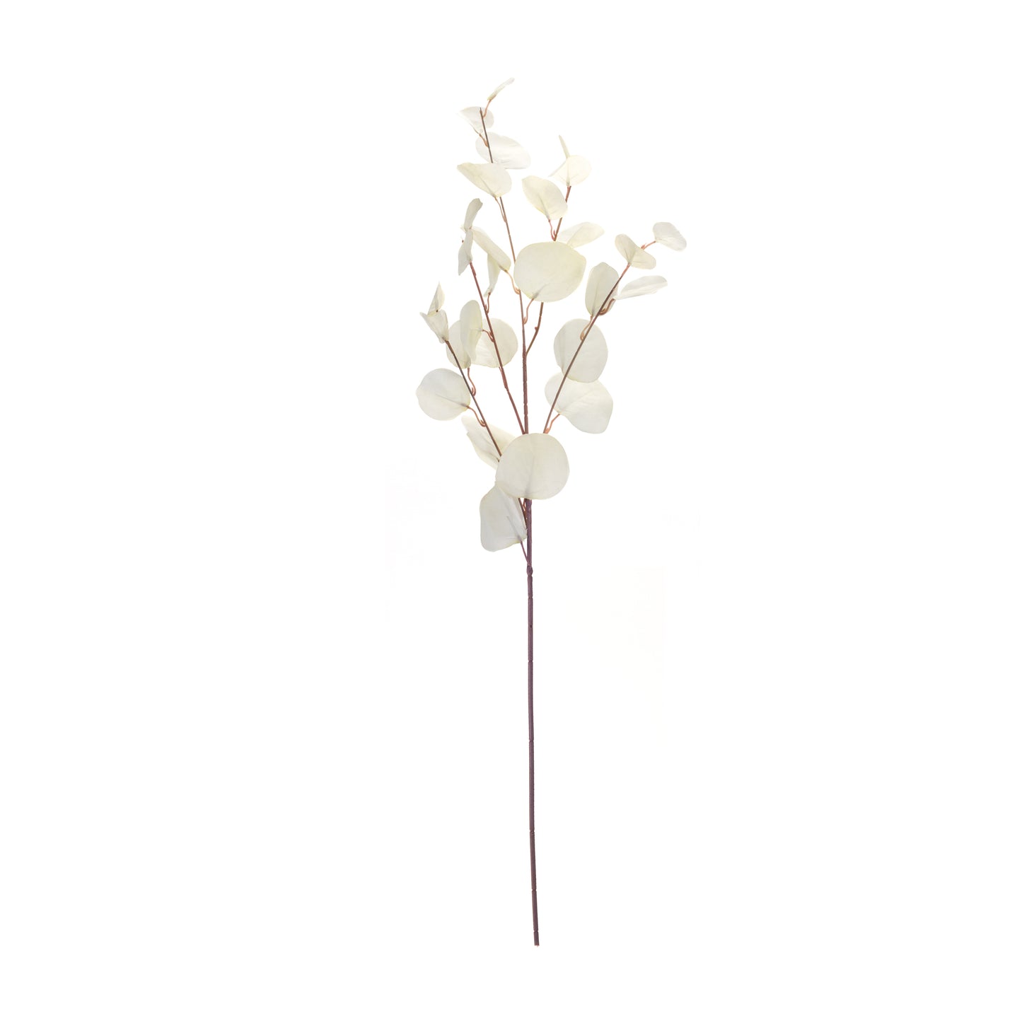White Eucalyptus Sprays (Set of 6)